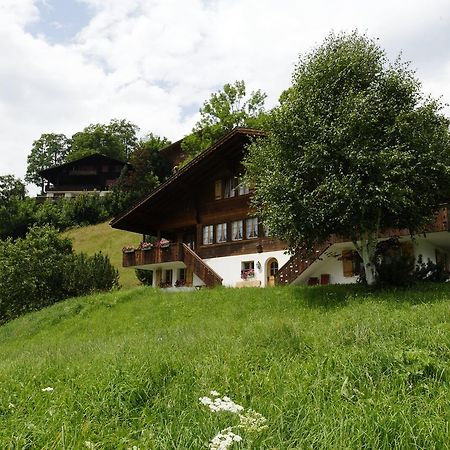 Chalet Unter Dem Stein Grindelwald Exteriör bild