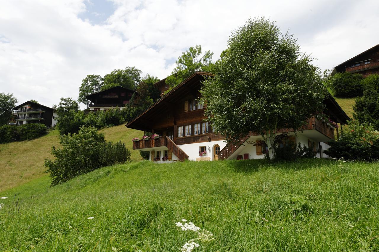 Chalet Unter Dem Stein Grindelwald Exteriör bild