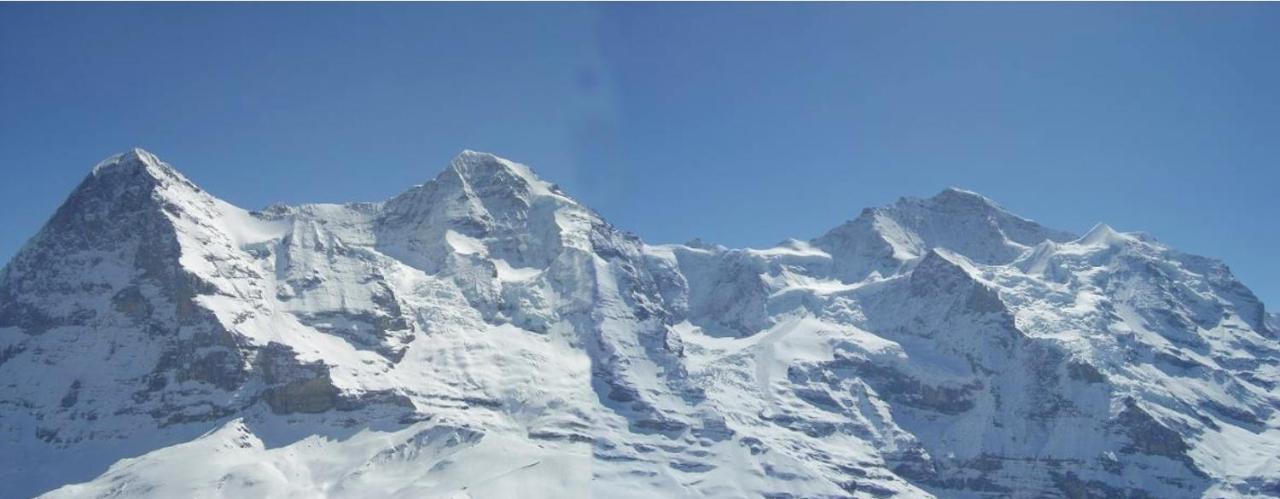 Chalet Unter Dem Stein Grindelwald Exteriör bild